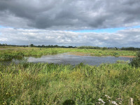 Kropswolderbuitenpolder